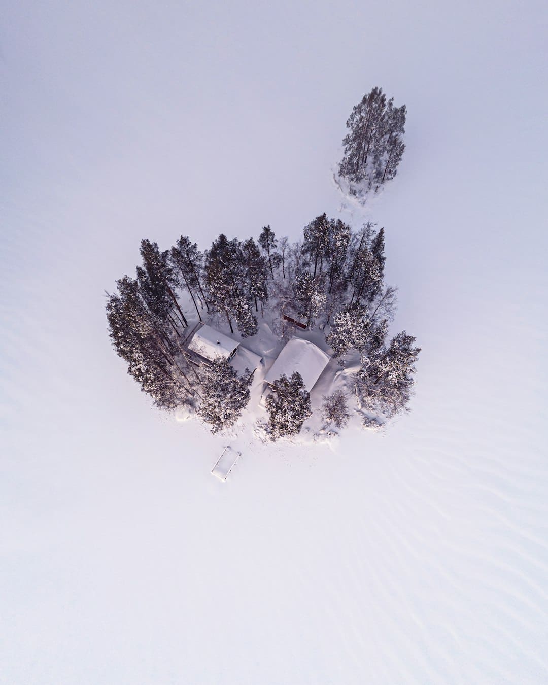 盖尔·加朵回应《白雪公主》票房惨败